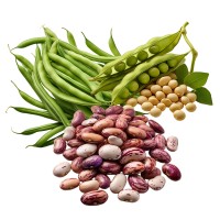 10 Bonen Oogstkracht Moestuin Zaden Pakket
