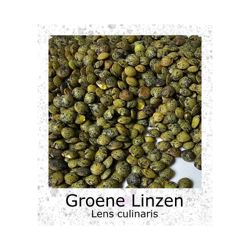 Linzen Groene Dupuis 50g zaden