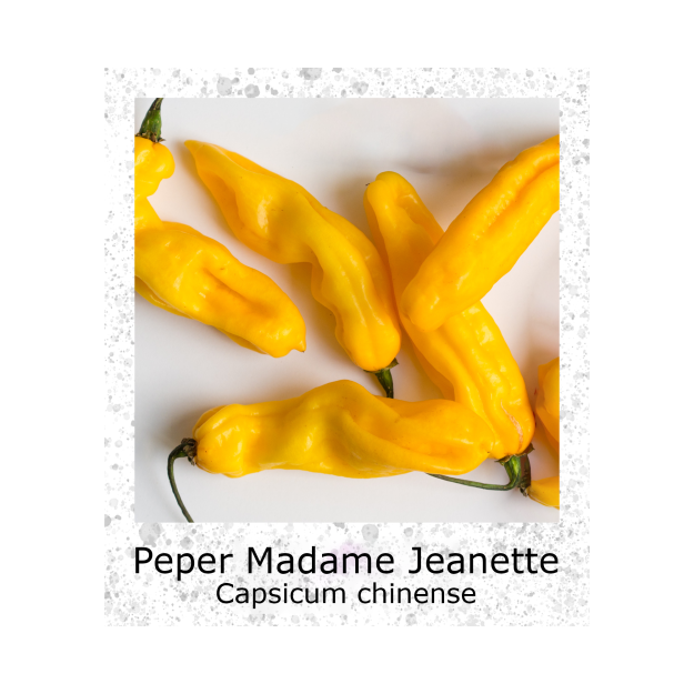 Peper Madame Jeanette zaden