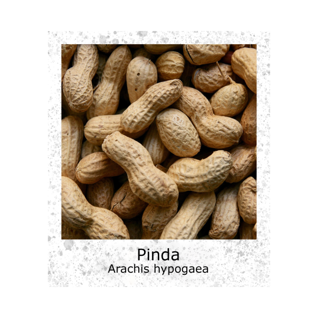 Pinda BIO zaden