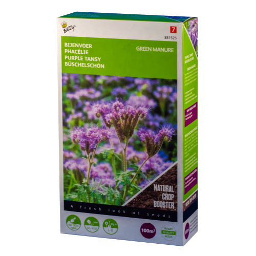 Bijenvoer Phacelia Buzzy Green Manure