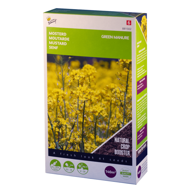 Mosterd Gele Buzzy Green Manure