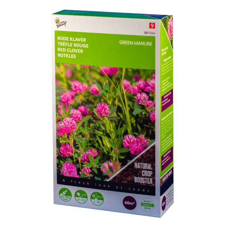 Rode klaver (Trifolium pratense) Buzzy Green Manure