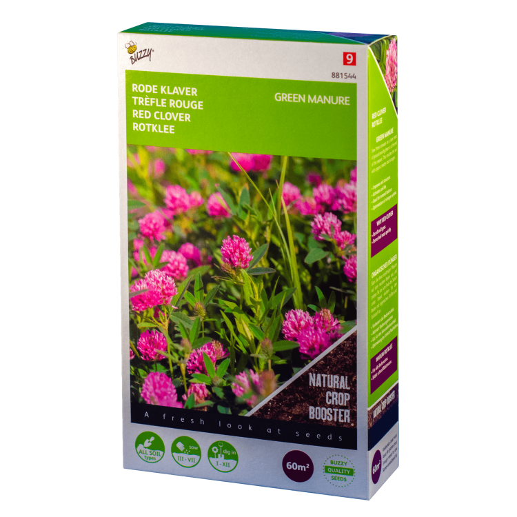 Rode klaver Trifolium pratense Buzzy Green Manure