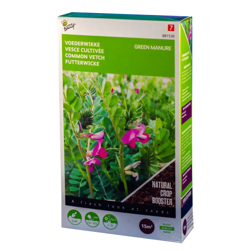 Voederwikke Vicia sativa Buzzy Green Manure