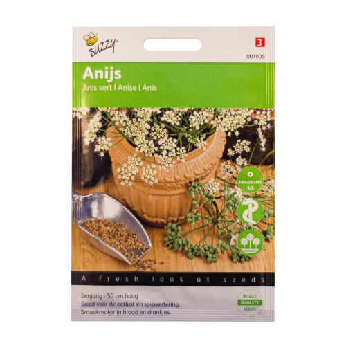 Anijs Pimpinella anisum zaden
