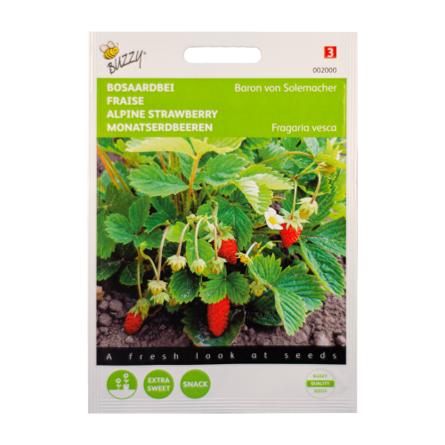 Bosaardbei Baron van Solemacher Buzzy Seeds