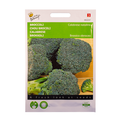 Broccoli Buzzy Seeds