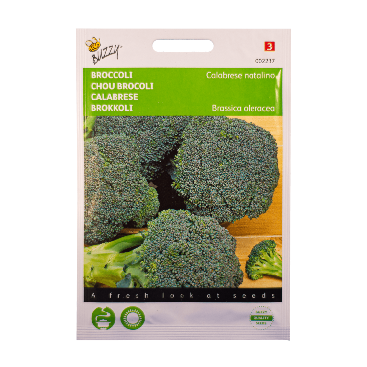Broccoli Calabrese Natalino zaden