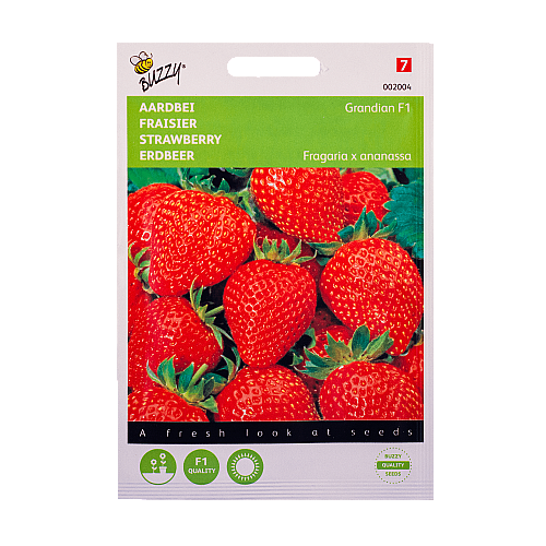 Aardbei Grandian F1 Buzzy Seeds