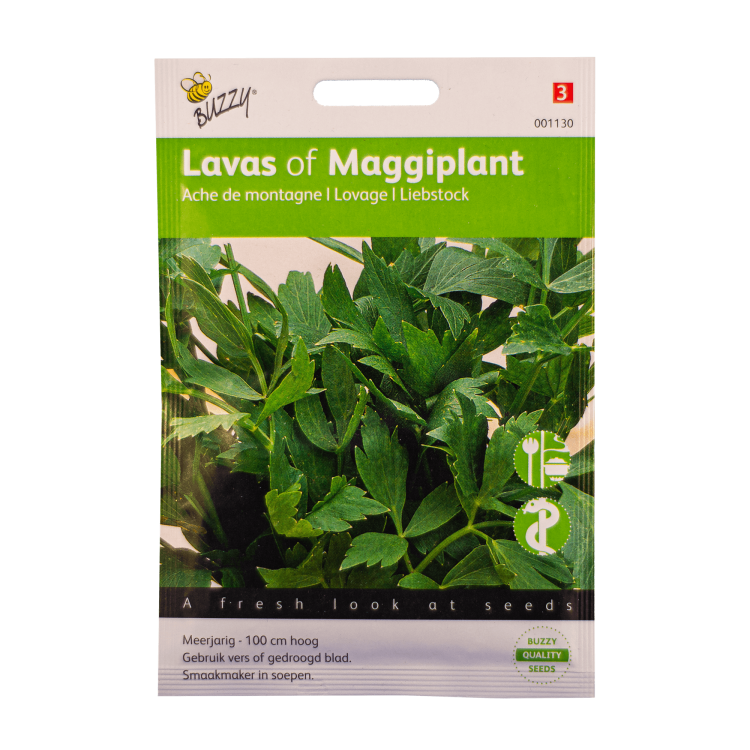 Lavas (Maggiplant) Buzzy Seeds