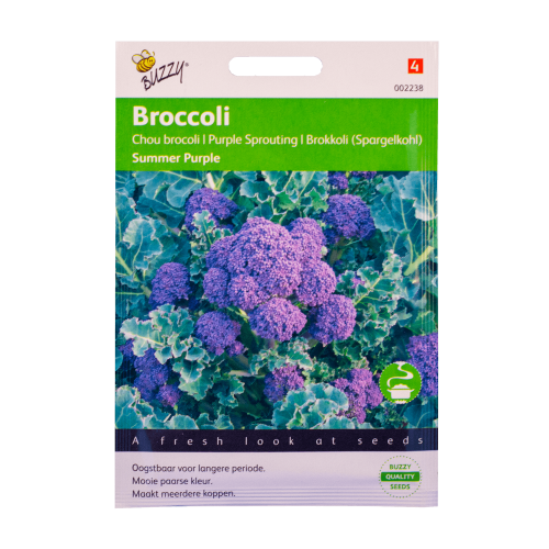Broccoli Summer Purple zaden