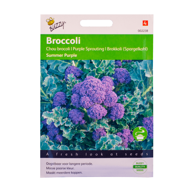 Broccoli Summer Purple zaden