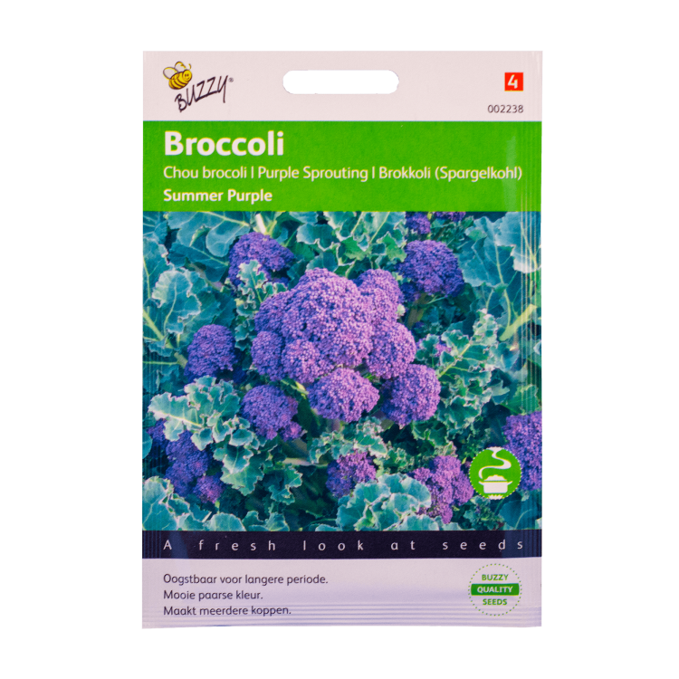 Broccoli (Summer Purple) Buzzy Seeds
