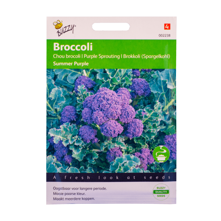 Broccoli Summer Purple zaden
