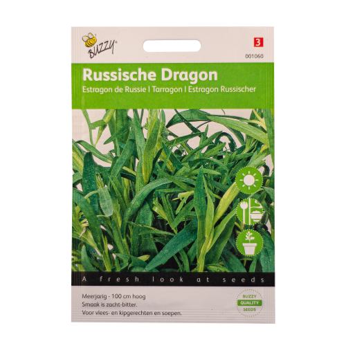 Dragon Russische Buzzy Seeds