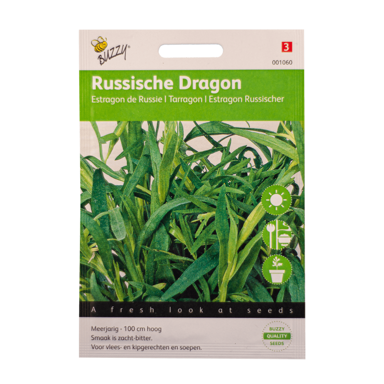 Dragon Russische Buzzy Seeds