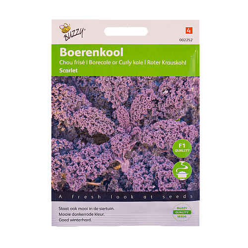 Boerenkool (Paarse / Scarlet) Buzzy Seeds