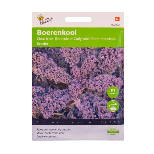 Boerenkool Paarse Scarlet Buzzy Seeds