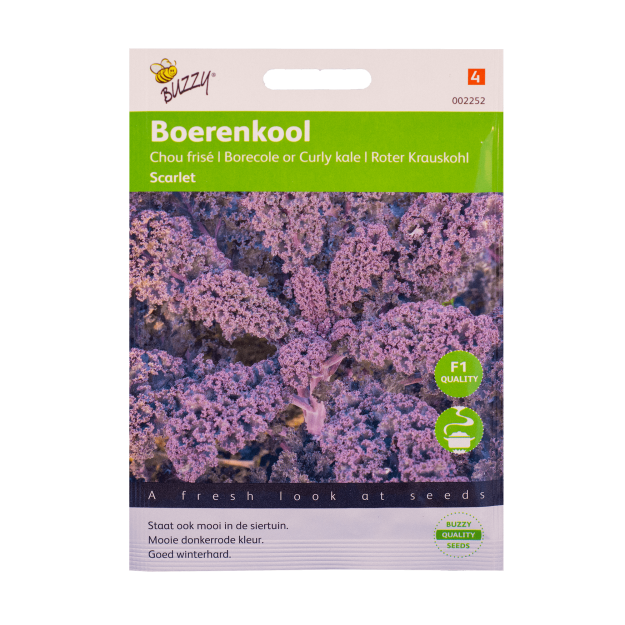 Boerenkool Scarlet zaden