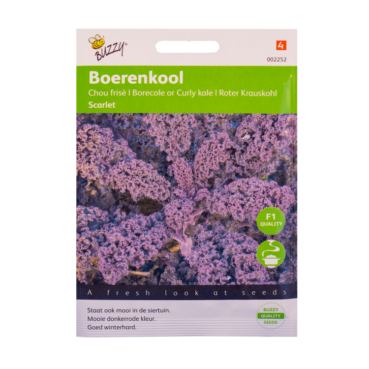 Boerenkool Paarse Scarlet Buzzy Seeds