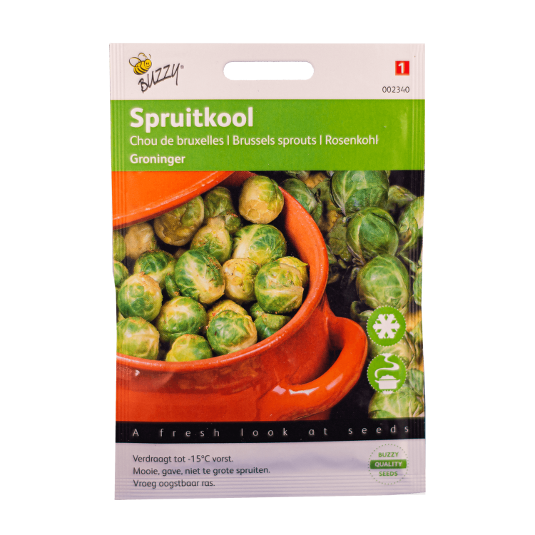 Spruitkool (Groninger) Buzzy Seeds