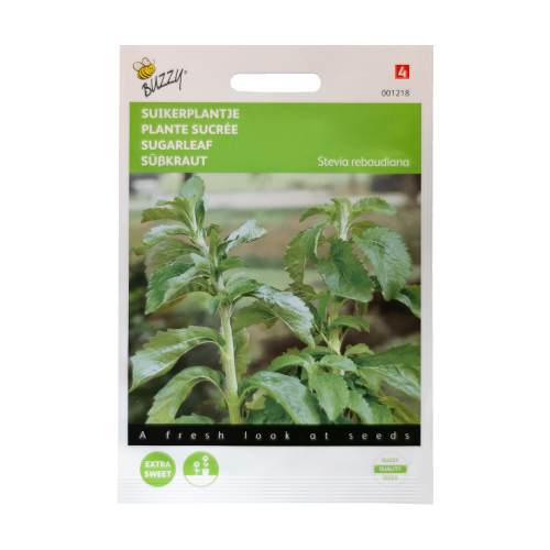 Stevia (Suikerplantje of Honingkruid) Buzzy Seeds