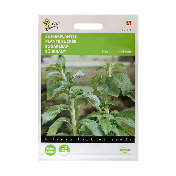 Stevia zaden