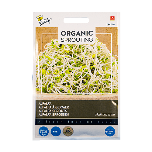 Alfalfa Medicago sativa Buzzy Organic Sprouting BIO