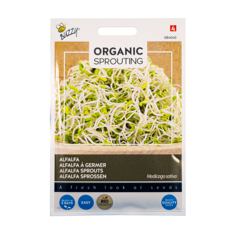 Alfalfa (Medicago sativa) Buzzy Organic Sprouting BIO