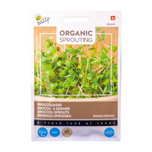 Broccolikers (Brassica oleracea) Buzzy Organic Sprouting BIO