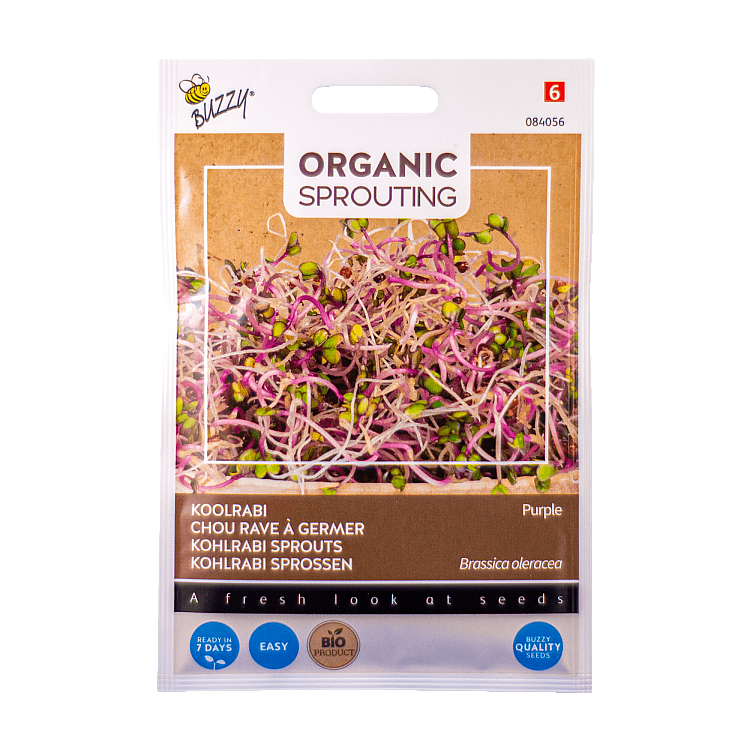 Koolrabi Paarse Buzzy Organic Sprouting BIO