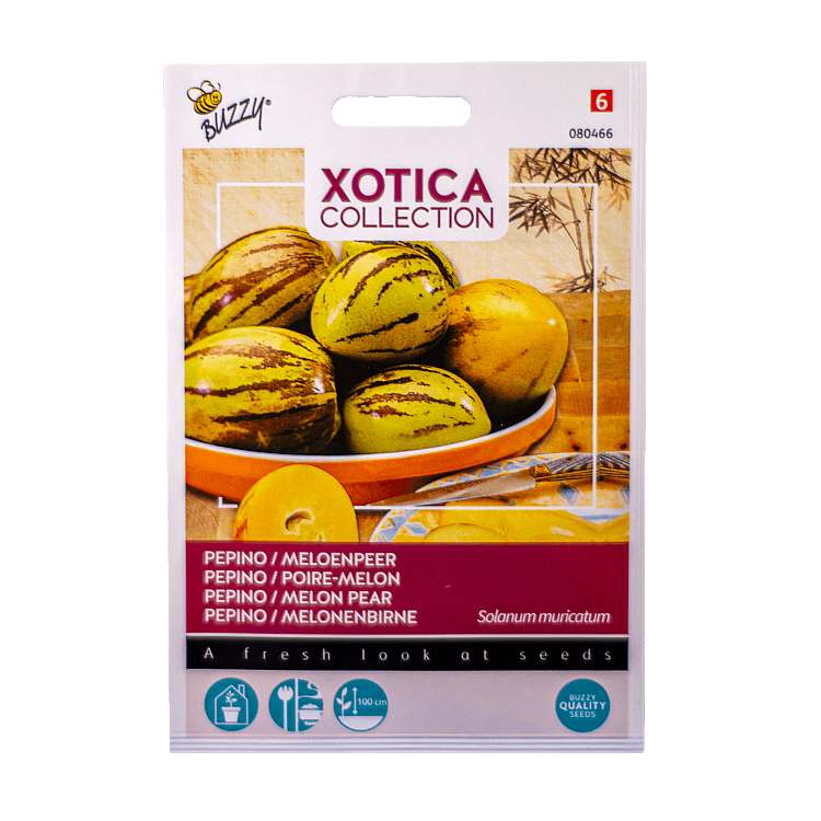 Pepino Meloenpeer Buzzy Xotica