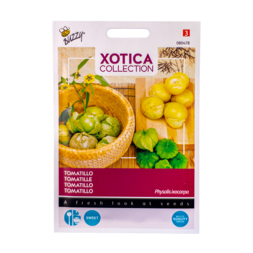 Tomatillo (Physalis ixocarpa) Buzzy Xotica