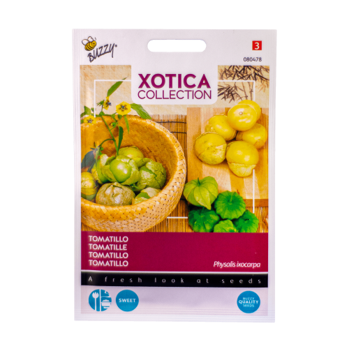 Tomatillo Physalis ixocarpa zaden