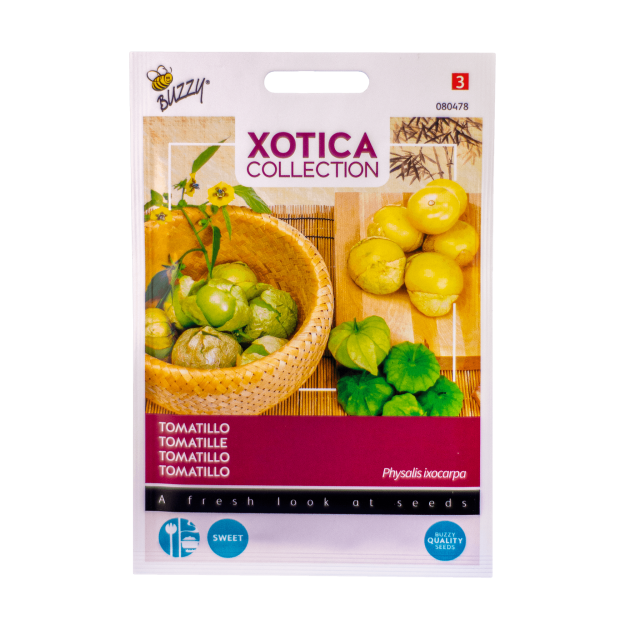 Tomatillo Physalis ixocarpa zaden