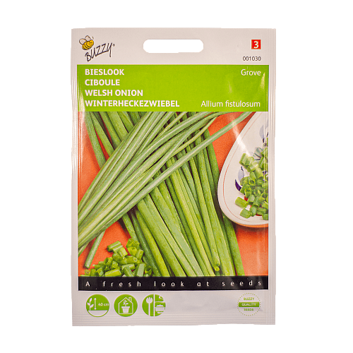 Bieslook Grove zaden