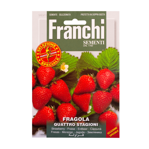 Aardbei Quattro stagioni Franchi Sementi