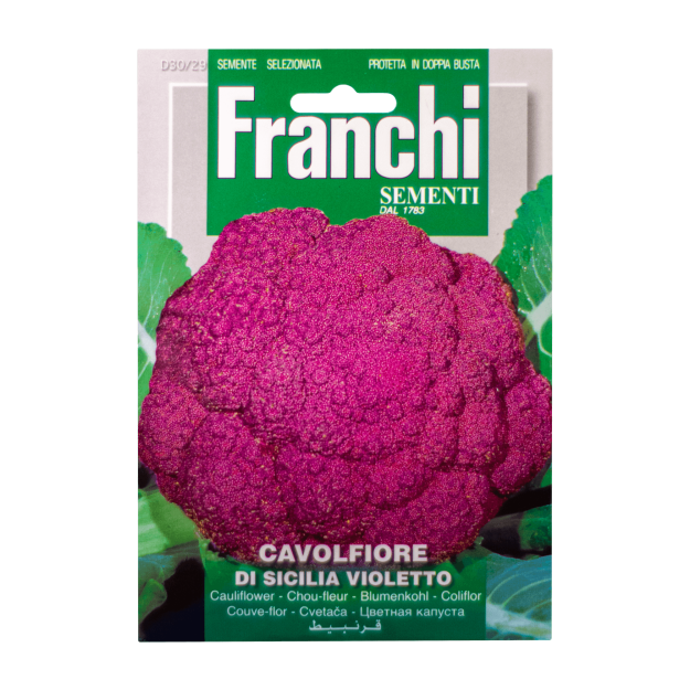 Bloemkool Paarse Di Sicilia Violetto Franchi Sementi