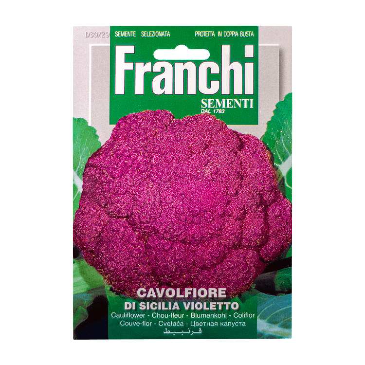 Bloemkool Paarse Di Sicilia Violetto Franchi Sementi