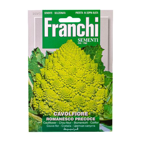 Bloemkool Romanesco Precoce Franchi Sementi