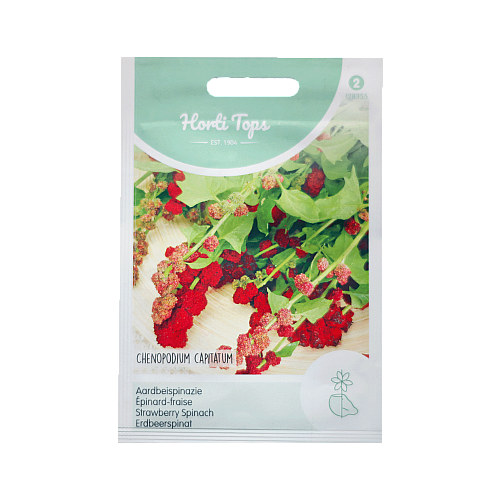 Aardbeispinazie Chenopodium capitatum zaden