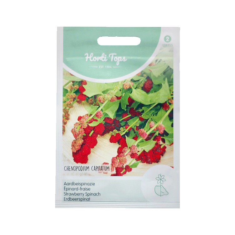 Aardbeispinazie Chenopodium capitatum zaden