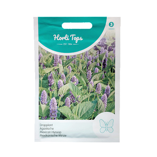 Dropplant Agastache Foeniculum zaden