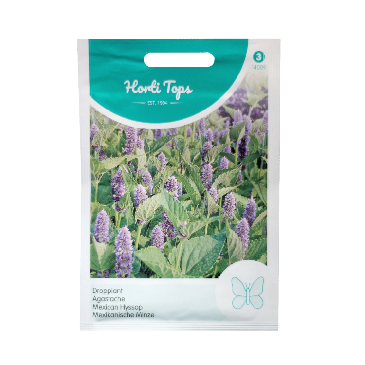 Dropplant Agastache Foeniculum zaden