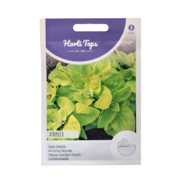 Melde Gele Melde Horti Tops