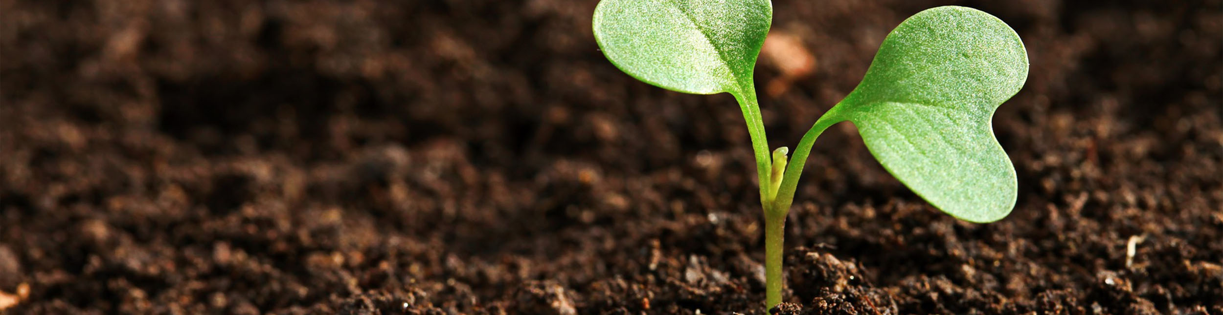 blog category banner