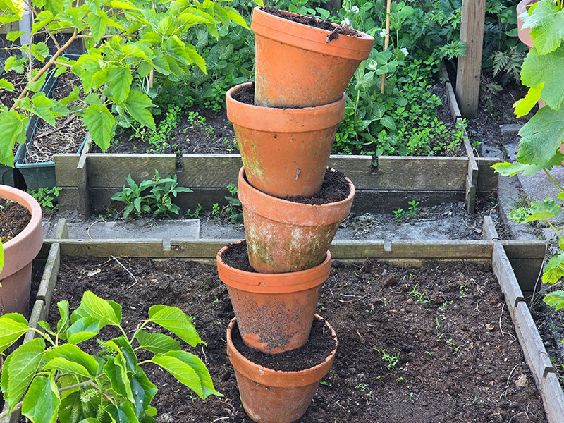 zelfgemaakte terracotta kruidentoren maken van bloempotten en betonijzer voor droge kruiden en keukenplanten