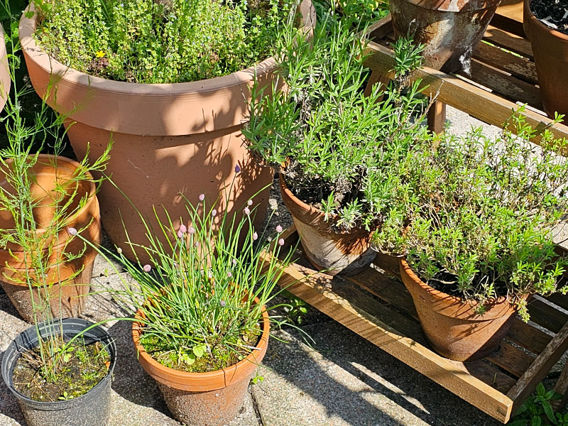 slakken bestrijden voorkomen planten kruiden afschrikken verjagen