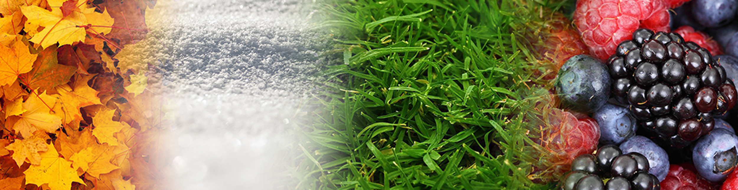 blog category banner